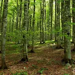 Ca' Serravalle Апартаменты